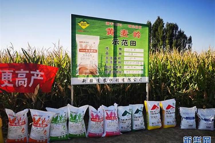 嘉施利(新疆)水溶肥有限公司怎么样？