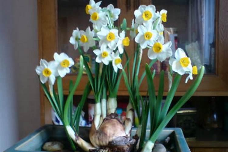 常见的氮肥有哪些？