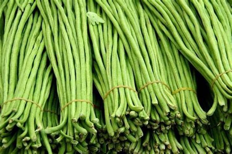 架豆角喜欢什么元素肥