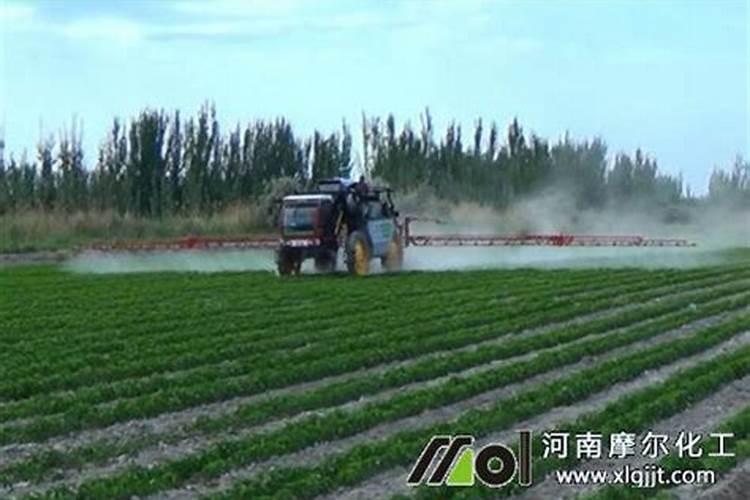 韭菜施什么叶面肥最好