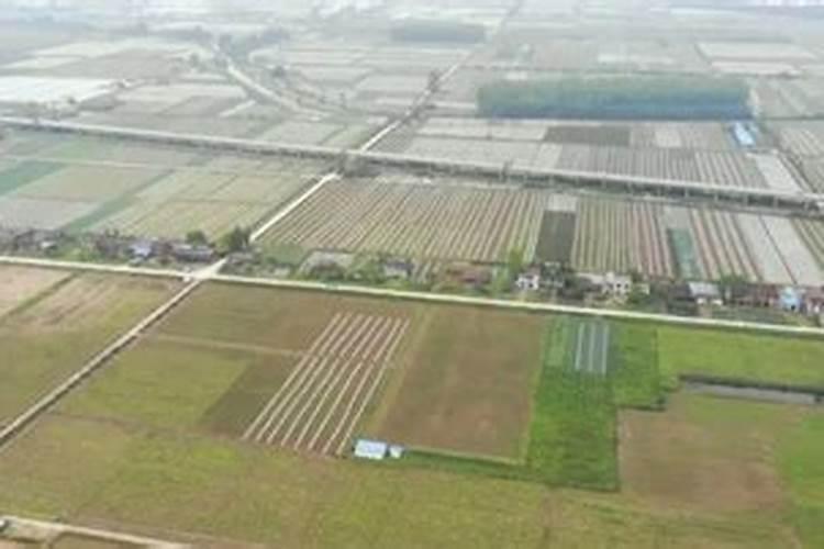 我国重点治理的三湖是指哪三条河