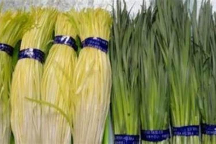 韭菜发黄打什么叶面肥