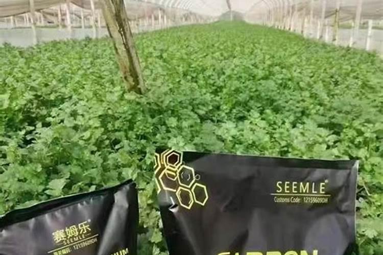 含腐植酸水溶肥的科学使用与注意事项？？