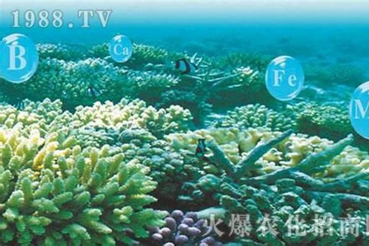 葡萄叶子发黄用海藻肥有用吗？