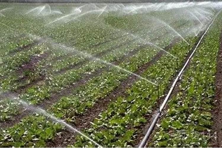 云天化尿素多少钱一吨？