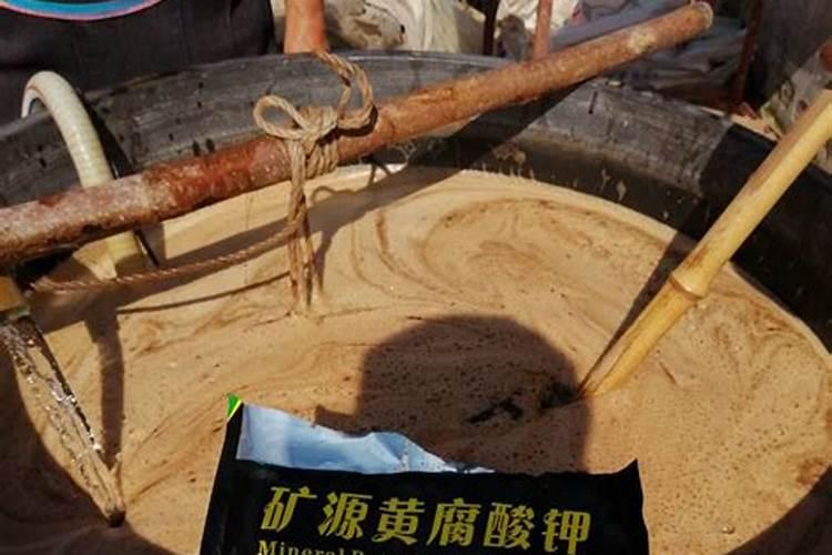 天竺葵几月份修剪最好