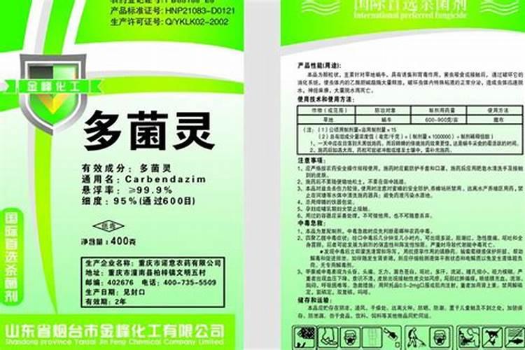 丝棉木种子可以种植吗 种植方法