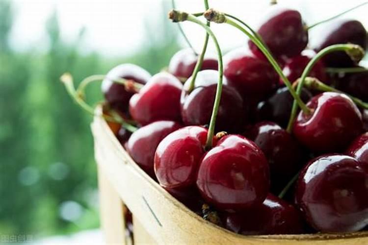 为什么樱桃喷坐果药要浇水施肥？