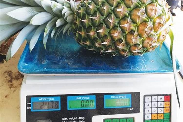 水稻得了青枯病不真的怎么办想求助一下专家