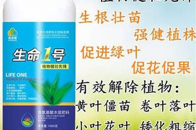 叶面肥多少钱一袋