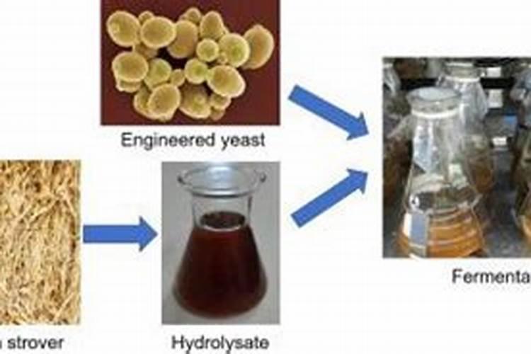 怎么提高水溶肥发酵速度