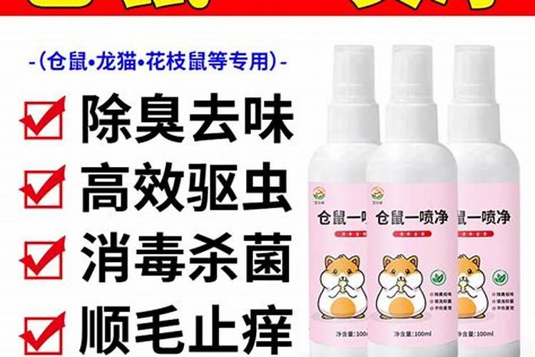 如何让菊花的花枝粗壮