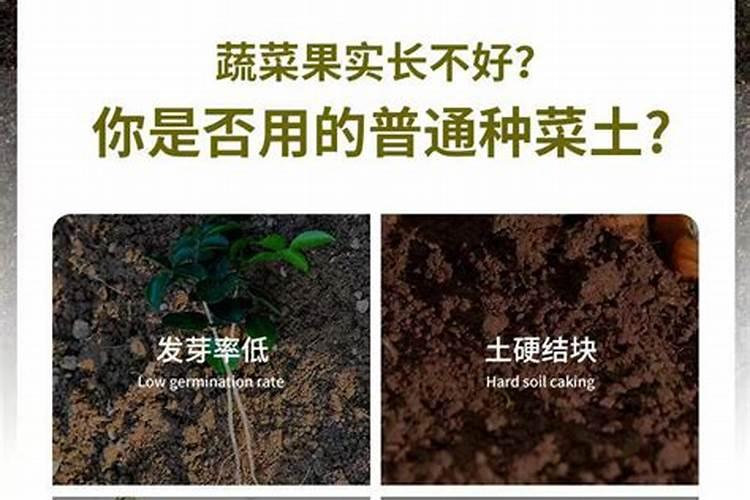 蔬菜育苗营养土的配制