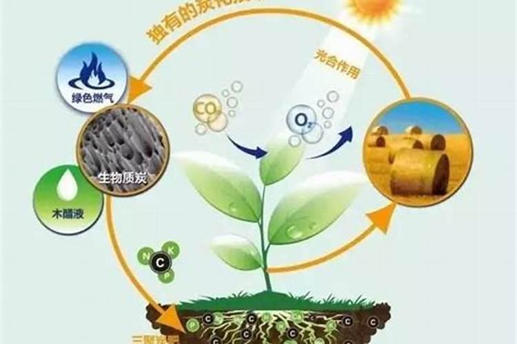 解密:被商家吹嘘为国外高科技生产的“碳肥”,究竟是什么肥料？