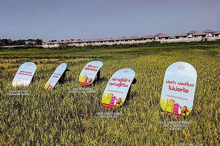 泰国在哪些资源方面比较匮乏