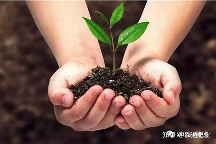 化肥农药好卖吗