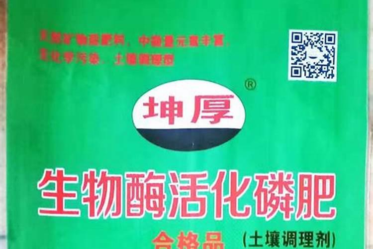 种菊花用什么肥料