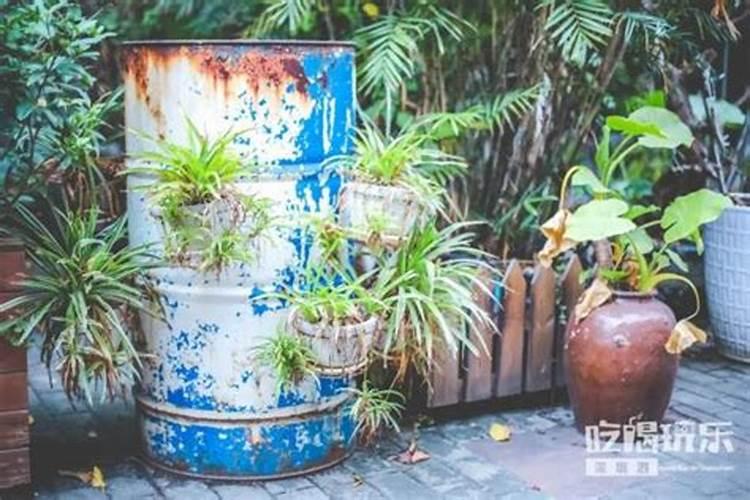 沤肥过程中还能持续加东西吗