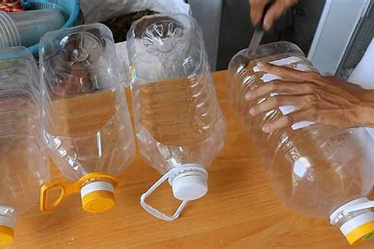 我的花盆里中了南瓜苗、花生、黄豆和菜,结果发现有许多灰色的小飞虫...