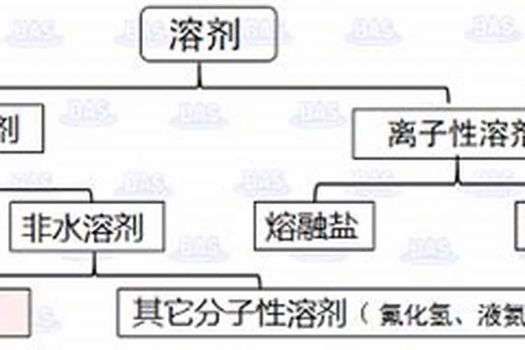 抗氧化剂有哪些