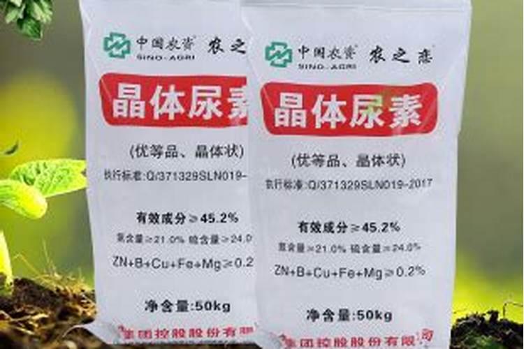 果树施肥方法大全