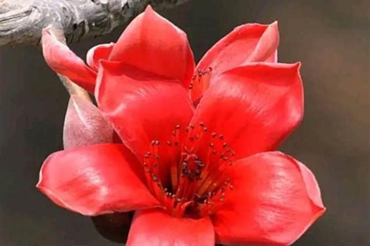 分享经验!果树用什么肥料好？