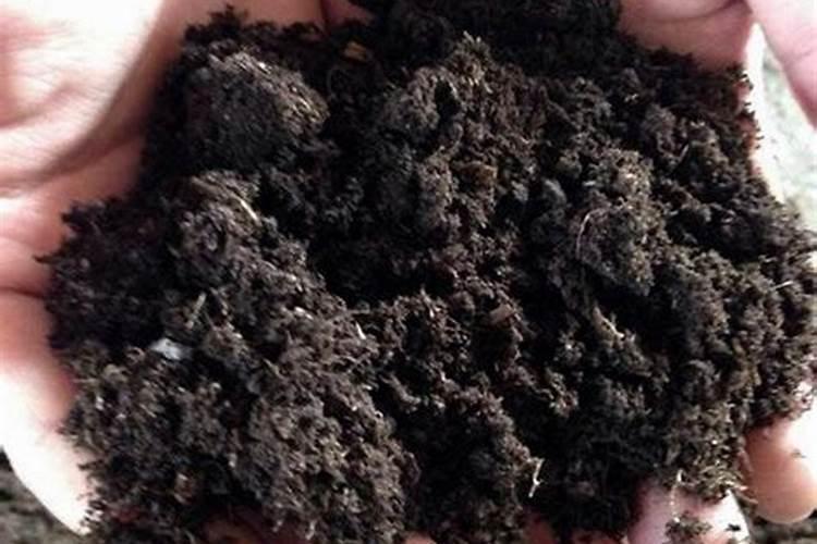 中国前十矿源黄腐酸钾是哪几家？