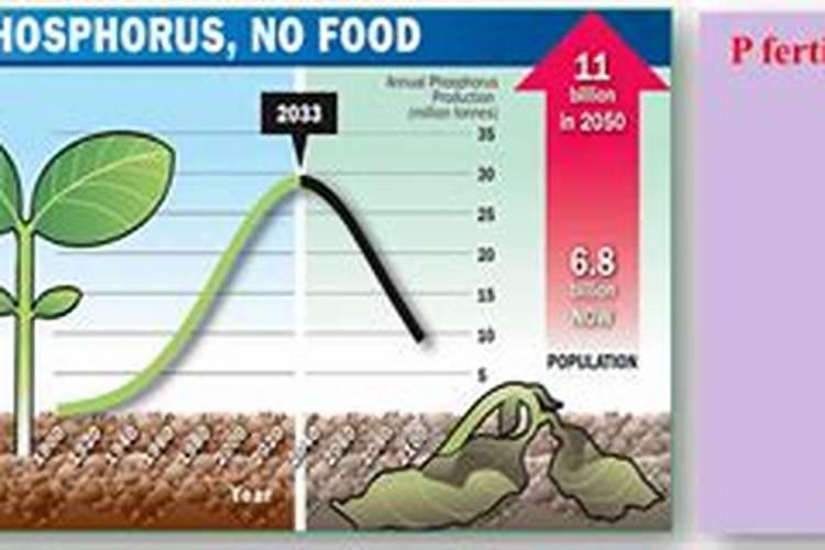 农村的高钾肥是什么肥料