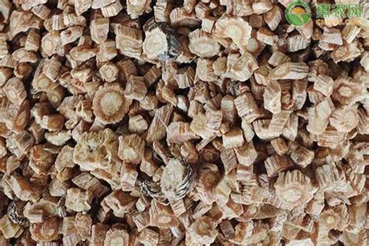 防风种植技术及亩收益