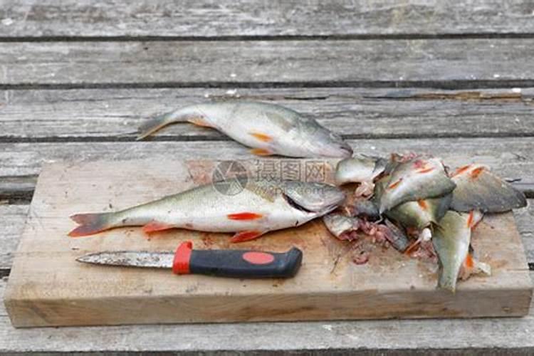 求教鱼内脏能否做肥料