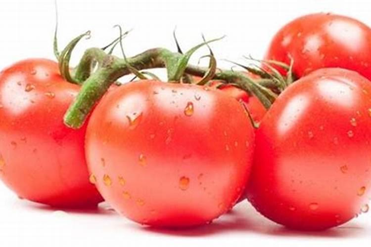 鱼蛋白使用注意事项