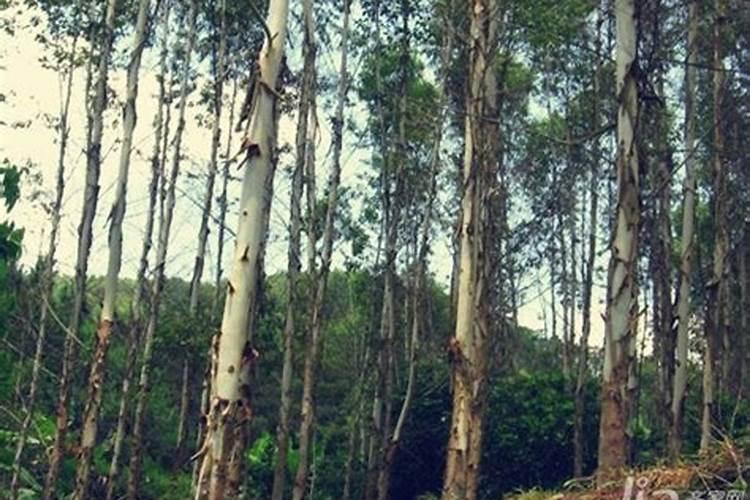 什么地方收购废骨头,多少钱一吨？