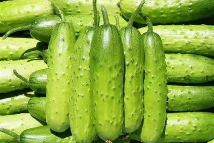 黄瓜冲施哪种水溶肥好