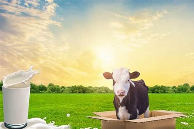 柚子套袋好能再下肥吗？