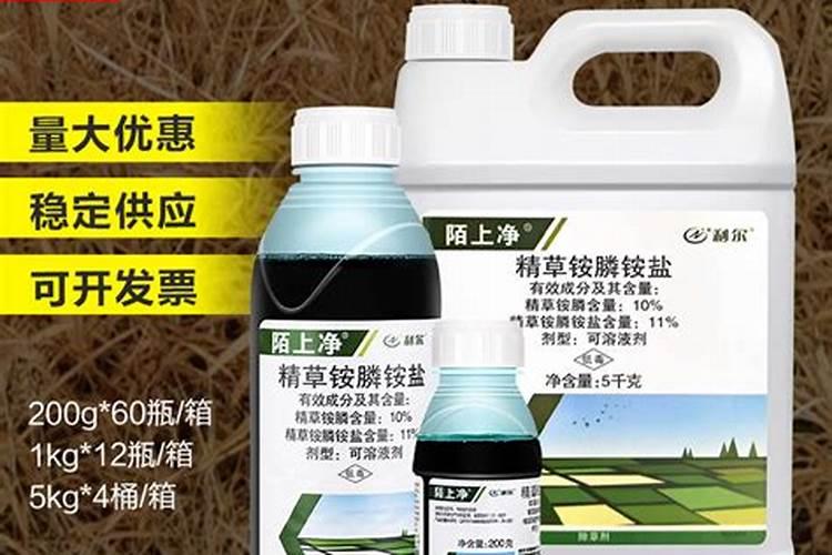 精草铵膦毛芋田除草会有药害吗？