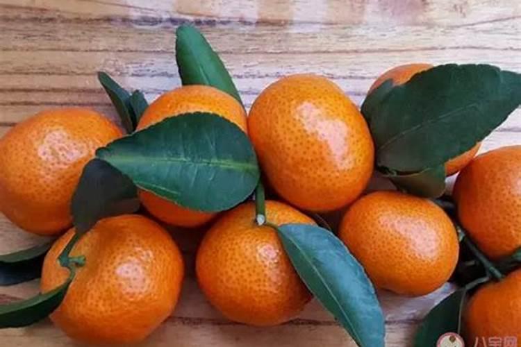 砂糖橘种植技术 对其施加磷肥