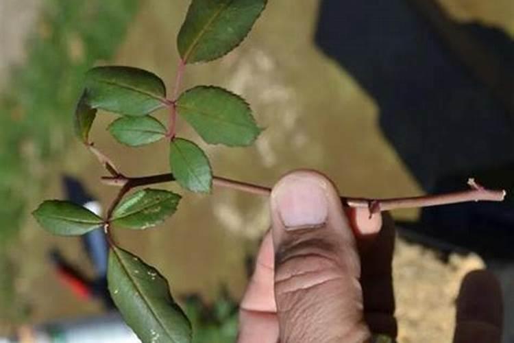 上海时泽企业管理工作室怎么样？