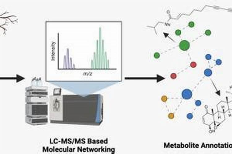 什么是无机营养成分？