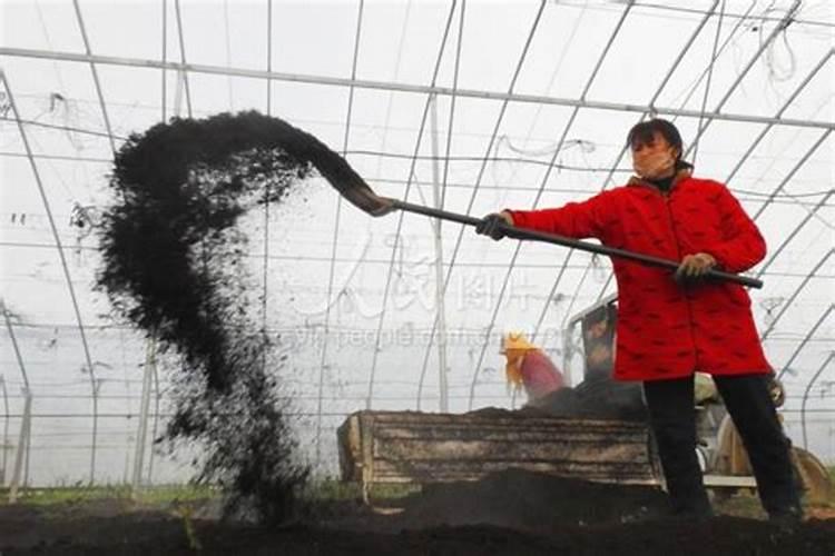 西红柿大棚中,硼,钙,镁,锌四种肥料哪些可以混用？