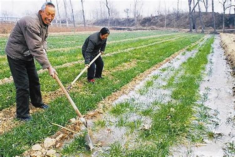 硝酸钙和硫酸铵反应后还有肥效吗