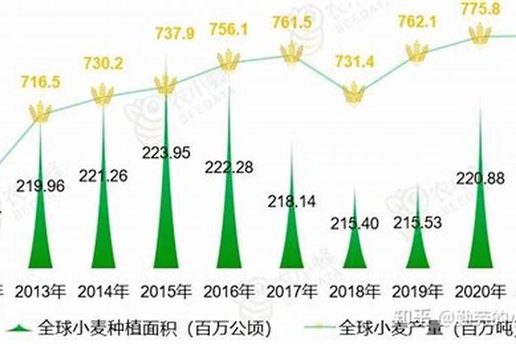 小麦叶面肥什么时候打效果好