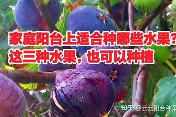 膨果用氮肥还是钾肥