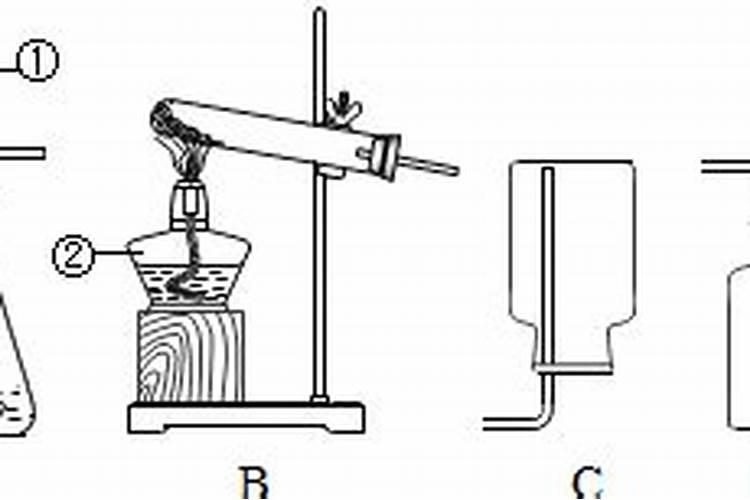 水培植物如何施肥？
