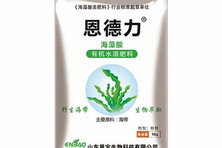 夏天浇花应在早晨还是傍晚 哪个时间最好