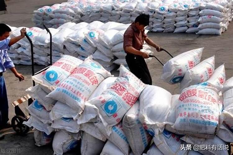 红糖加酵母粉发酵能做生根剂吗