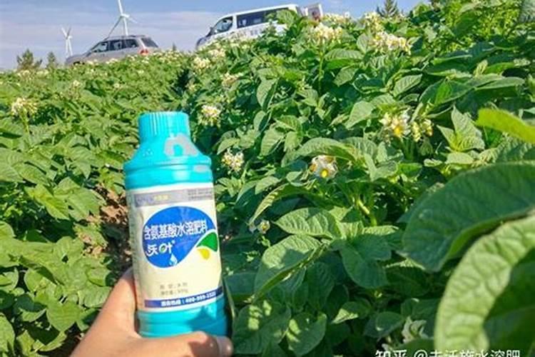 磷酸二氢钾一亩葡萄喷叶面肥用多少