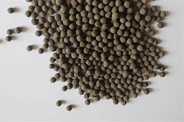 刺梅怎么养才能更旺盛