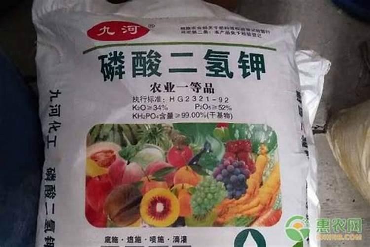 水稻三遍肥最佳时间