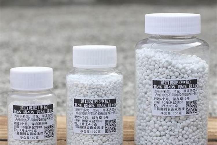 韮菜种植需要施多少肥料