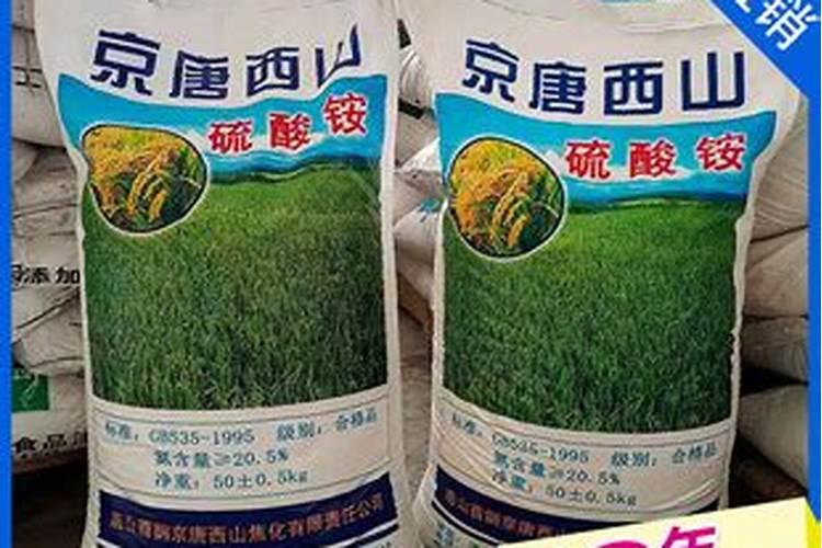 长豆角也要施肥吗